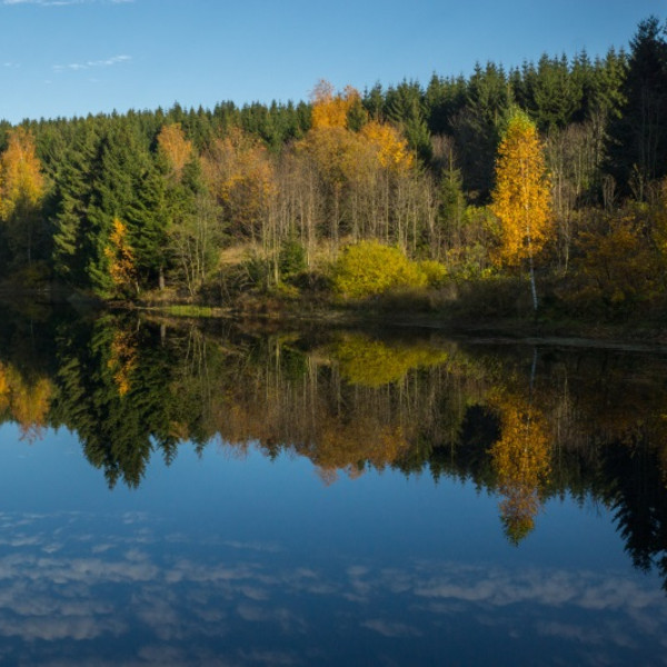 Harzer See im Herbst